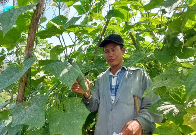 HỌ TÔ MỸ TÀI, PHÙ MỸ, TỈNH GIA LAI